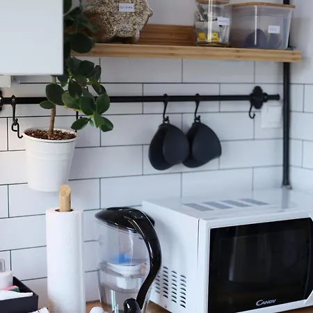 Flora - Mtp & Park Wilsona Apartment